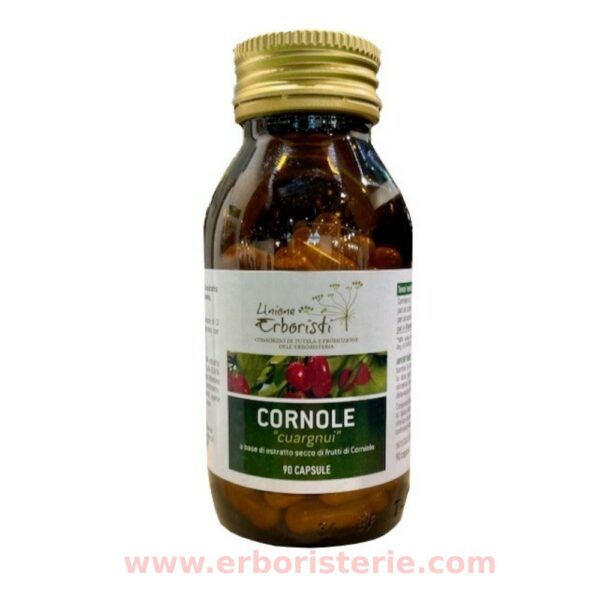 Cornole 90 capsule Corniolo (Cornus mas) antiossidante